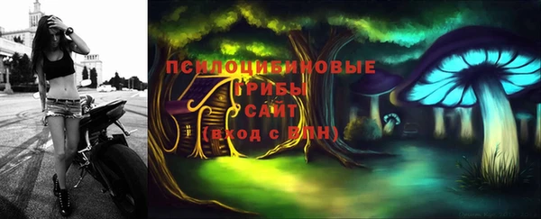 ПСИЛОЦИБИНОВЫЕ ГРИБЫ Надым