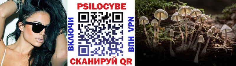 Галлюциногенные грибы MAGIC MUSHROOMS  Йошкар-Ола 