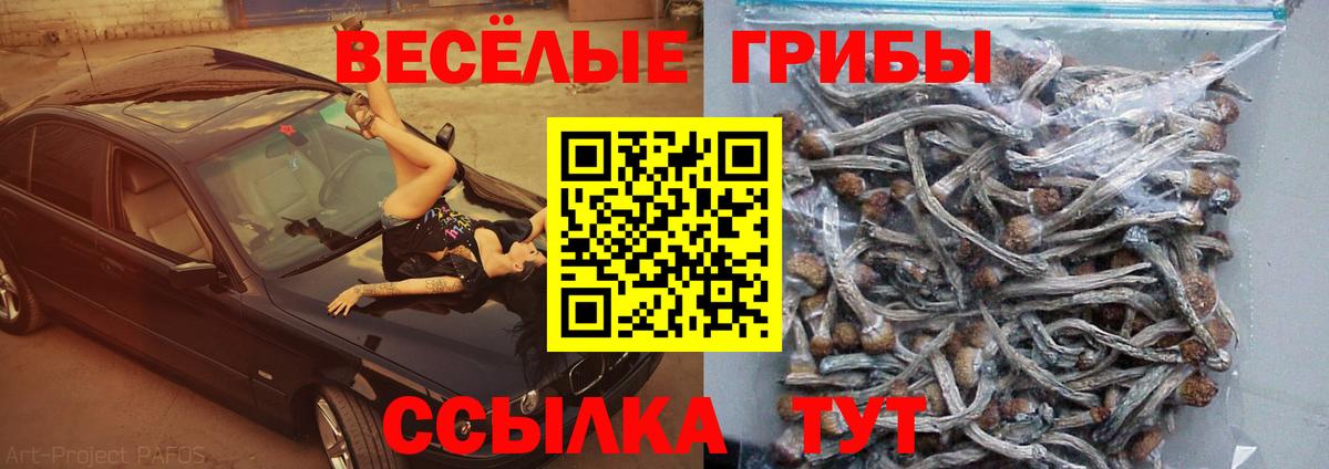 Псилоцибиновые грибы мицелий  Вход с VPN  Йошкар-Ола 